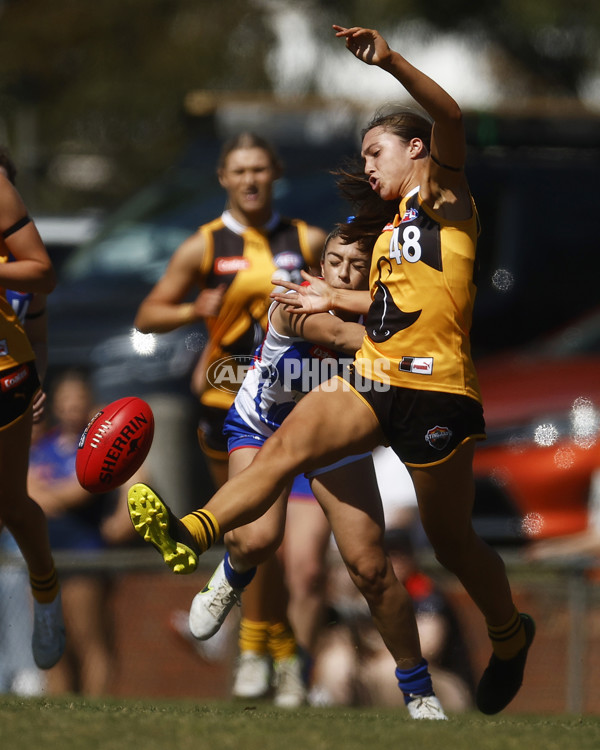 Coates League Girls 2023 - Dandenong Stingrays v Oakleigh Chargers - A-43182410