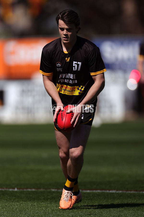 VFL 2023 Preliminary Final - Werribee v Brisbane Lions - A-43182415