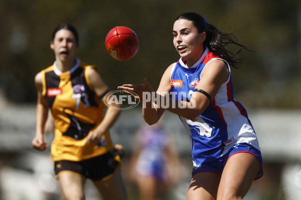 Coates League Girls 2023 - Dandenong Stingrays v Oakleigh Chargers - A-43182428
