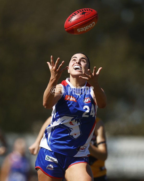 Coates League Girls 2023 - Dandenong Stingrays v Oakleigh Chargers - A-43182430
