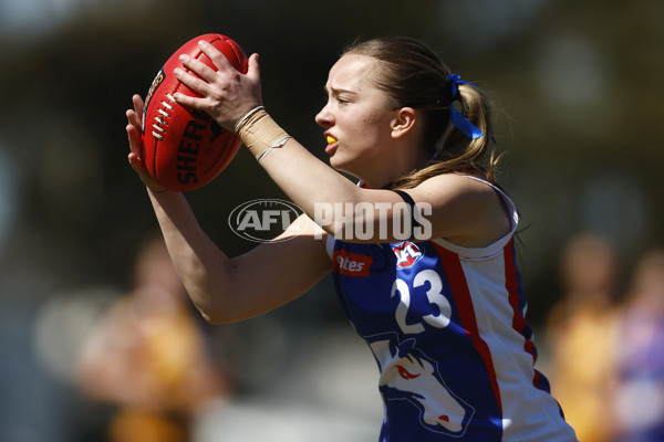 Coates League Girls 2023 - Dandenong Stingrays v Oakleigh Chargers - A-43182433