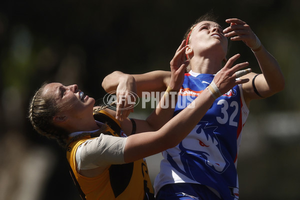 Coates League Girls 2023 - Dandenong Stingrays v Oakleigh Chargers - A-43182440