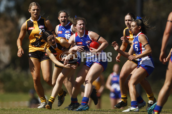 Coates League Girls 2023 - Dandenong Stingrays v Oakleigh Chargers - A-43182810