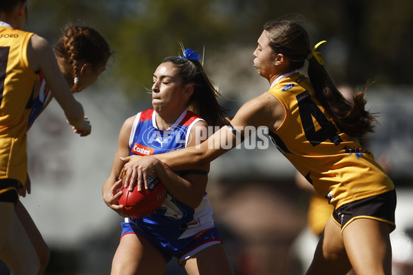 Coates League Girls 2023 - Dandenong Stingrays v Oakleigh Chargers - A-43182813