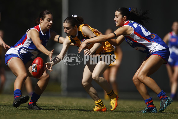 Coates League Girls 2023 - Dandenong Stingrays v Oakleigh Chargers - A-43182815