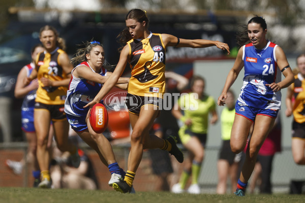 Coates League Girls 2023 - Dandenong Stingrays v Oakleigh Chargers - A-43182816