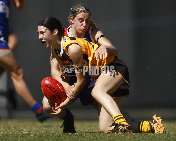 Coates League Girls 2023 - Dandenong Stingrays v Oakleigh Chargers - A-43182835