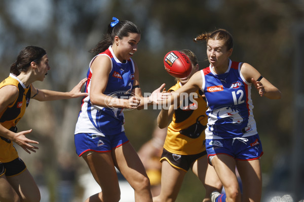 Coates League Girls 2023 - Dandenong Stingrays v Oakleigh Chargers - A-43182845