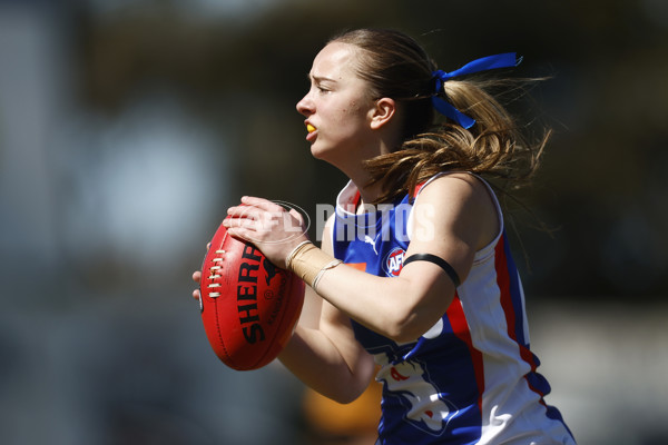 Coates League Girls 2023 - Dandenong Stingrays v Oakleigh Chargers - A-43182847