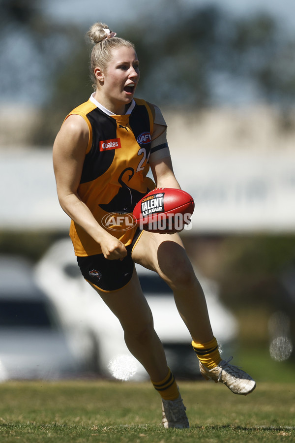 Coates League Girls 2023 - Dandenong Stingrays v Oakleigh Chargers - A-43185086