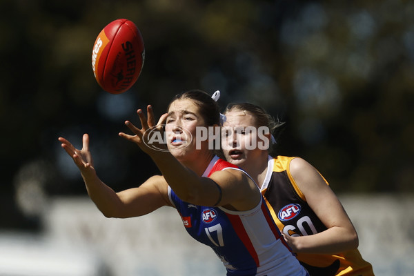 Coates League Girls 2023 - Dandenong Stingrays v Oakleigh Chargers - A-43185089