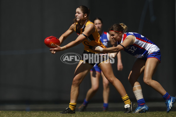 Coates League Girls 2023 - Dandenong Stingrays v Oakleigh Chargers - A-43185093