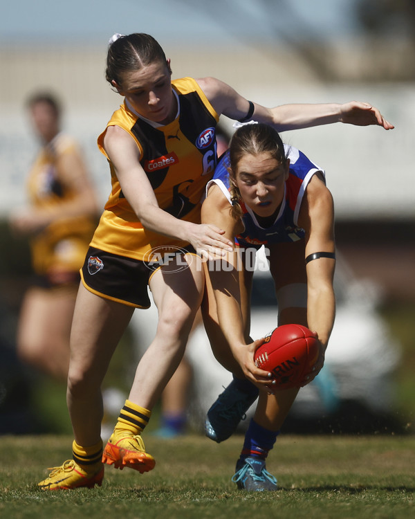 Coates League Girls 2023 - Dandenong Stingrays v Oakleigh Chargers - A-43185113