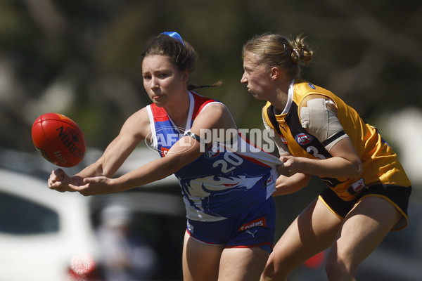 Coates League Girls 2023 - Dandenong Stingrays v Oakleigh Chargers - A-43185119