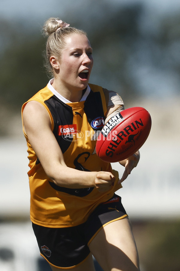 Coates League Girls 2023 - Dandenong Stingrays v Oakleigh Chargers - A-43185583