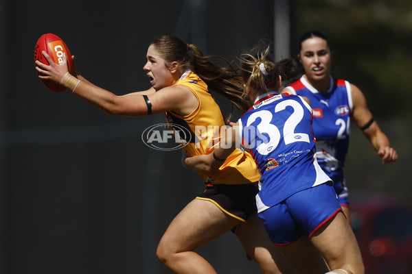 Coates League Girls 2023 - Dandenong Stingrays v Oakleigh Chargers - A-43185589