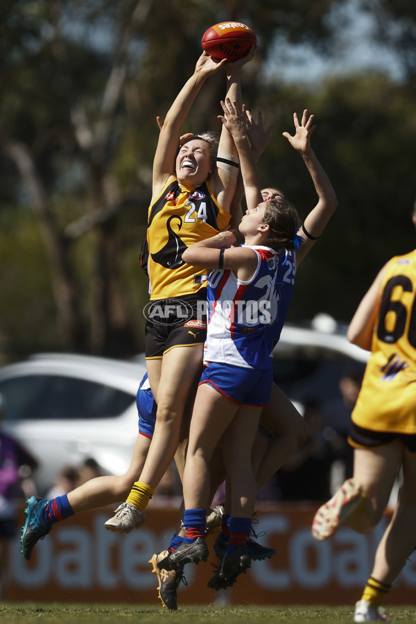 Coates League Girls 2023 - Dandenong Stingrays v Oakleigh Chargers - A-43185594