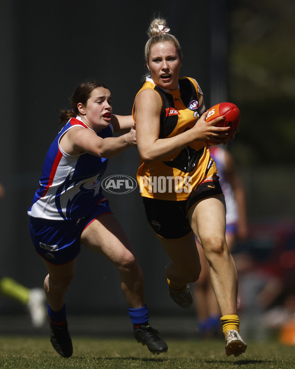 Coates League Girls 2023 - Dandenong Stingrays v Oakleigh Chargers - A-43185602