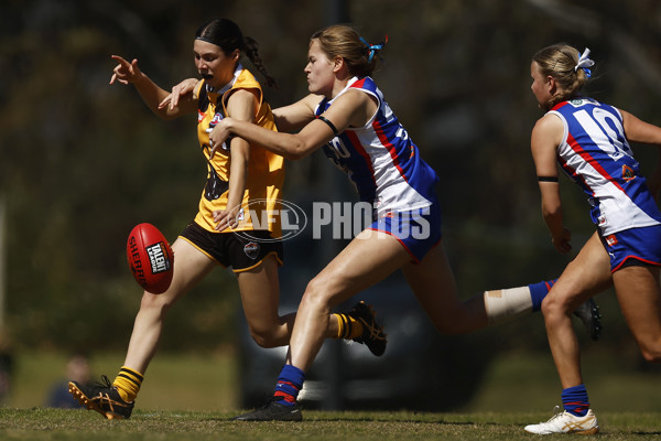 Coates League Girls 2023 - Dandenong Stingrays v Oakleigh Chargers - A-43185603