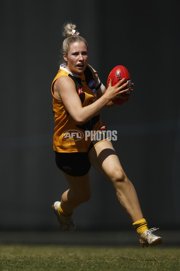 Coates League Girls 2023 - Dandenong Stingrays v Oakleigh Chargers - A-43185606