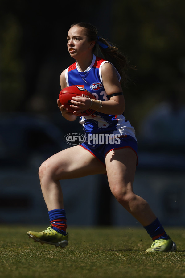 Coates League Girls 2023 - Dandenong Stingrays v Oakleigh Chargers - A-43185620