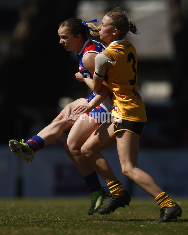 Coates League Girls 2023 - Dandenong Stingrays v Oakleigh Chargers - A-43185624