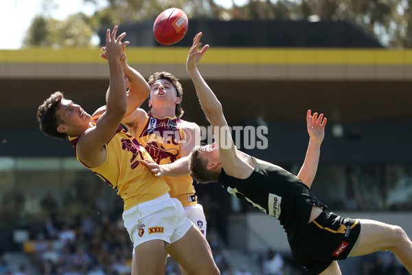 VFL 2023 Preliminary Final - Werribee v Brisbane Lions - A-43185633