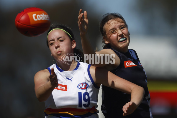 Coates League Girls 2023 - Eastern Ranges v Geelong Falcons - A-43188120