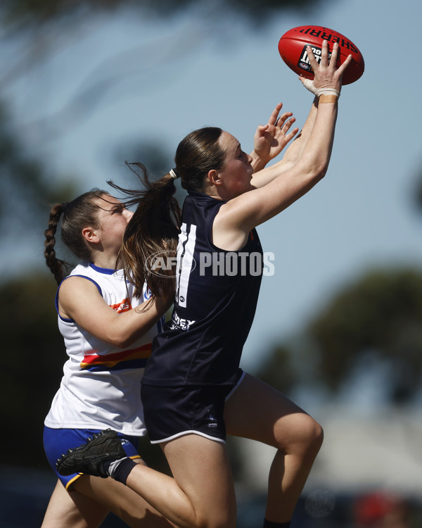 Coates League Girls 2023 - Eastern Ranges v Geelong Falcons - A-43188132