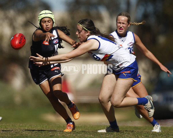 Coates League Girls 2023 - Eastern Ranges v Geelong Falcons - A-43188183