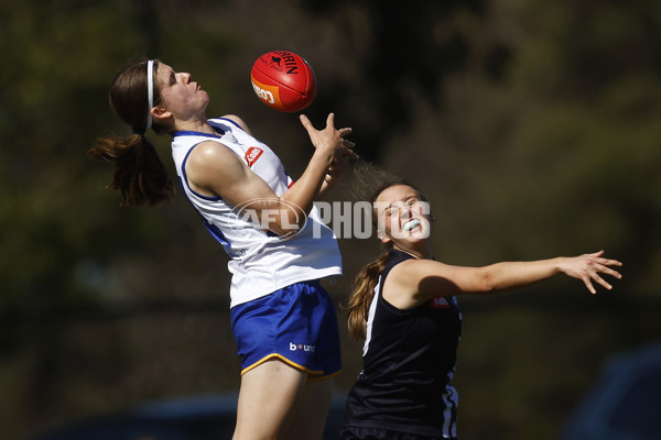 Coates League Girls 2023 - Eastern Ranges v Geelong Falcons - A-43188185