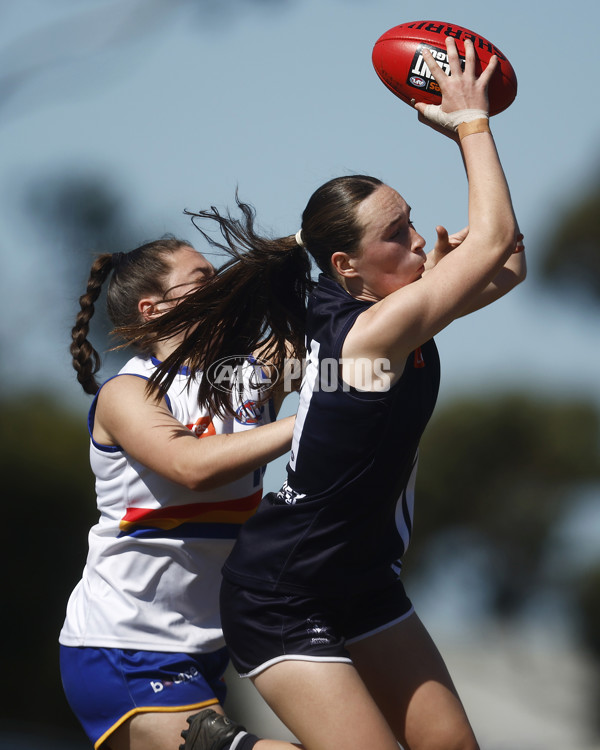 Coates League Girls 2023 - Eastern Ranges v Geelong Falcons - A-43188533