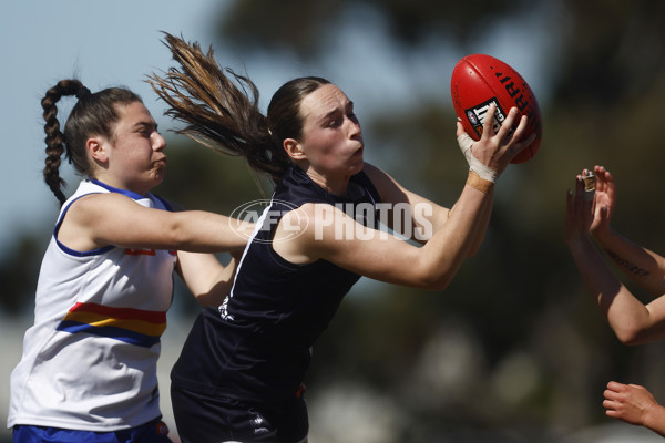 Coates League Girls 2023 - Eastern Ranges v Geelong Falcons - A-43188534