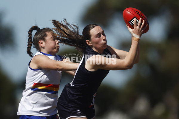 Coates League Girls 2023 - Eastern Ranges v Geelong Falcons - A-43188535