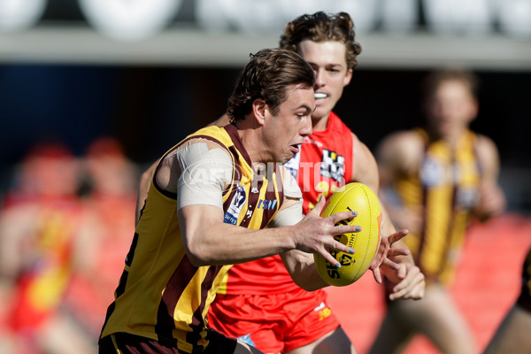 VFL 2023 Preliminary Final — Gold Coast v Box Hill - A-43191303