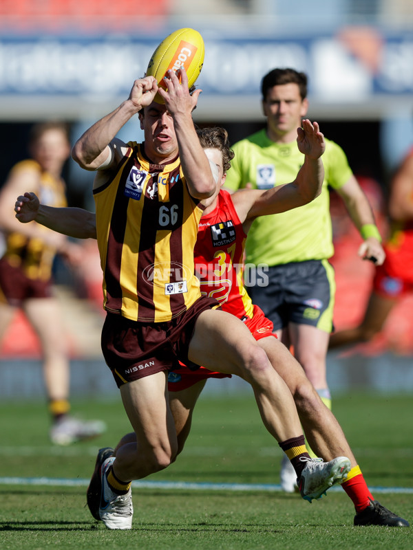 VFL 2023 Preliminary Final — Gold Coast v Box Hill - A-43191305