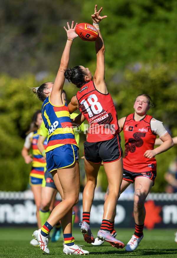 AFLW 2023 Round 03 - Adelaide v Essendon - A-43199422