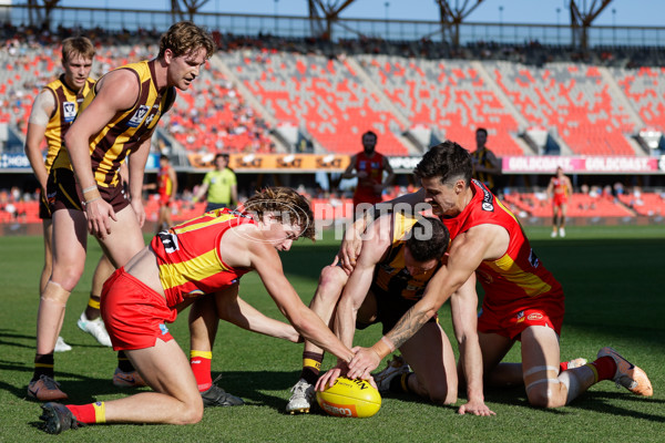 VFL 2023 Preliminary Final — Gold Coast v Box Hill - A-43202066