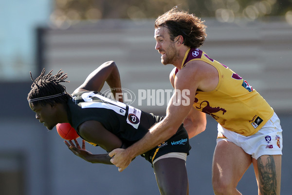 VFL 2023 Preliminary Final - Werribee v Brisbane Lions - A-43204089