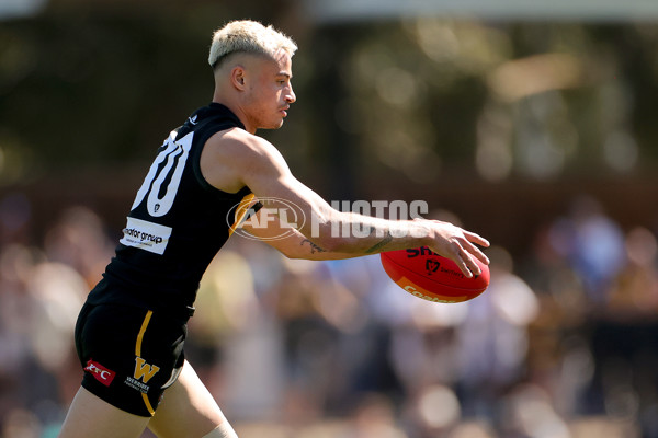 VFL 2023 Preliminary Final - Werribee v Brisbane Lions - A-43204116