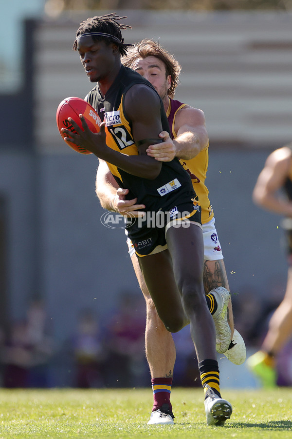 VFL 2023 Preliminary Final - Werribee v Brisbane Lions - A-43204881