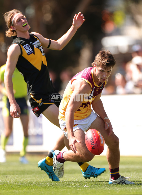 VFL 2023 Preliminary Final - Werribee v Brisbane Lions - A-43204917