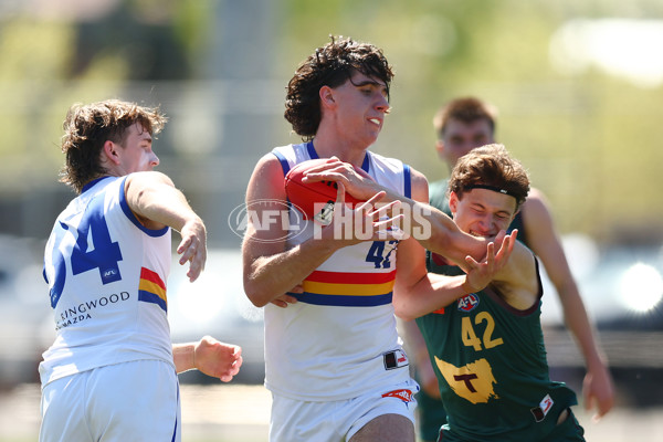 Coates League Boys 2023 - Tasmania Devils v Eastern Ranges - A-43221446