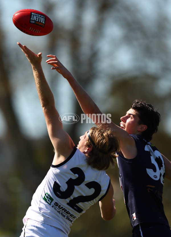 Coates League Boys 2023 - Sandringham Dragons v Geelong Falcons - A-43225256