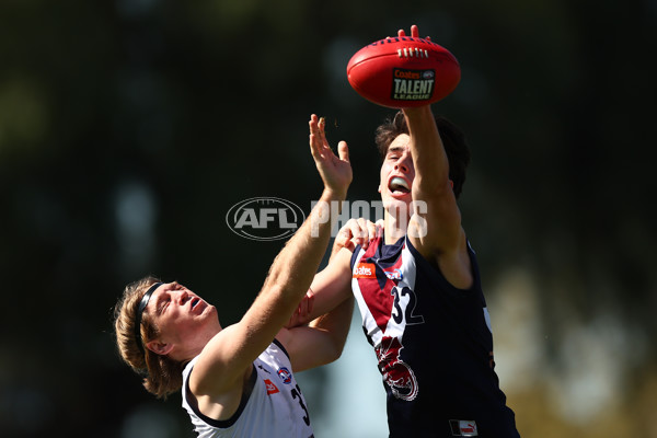 Coates League Boys 2023 - Sandringham Dragons v Geelong Falcons - A-43226790