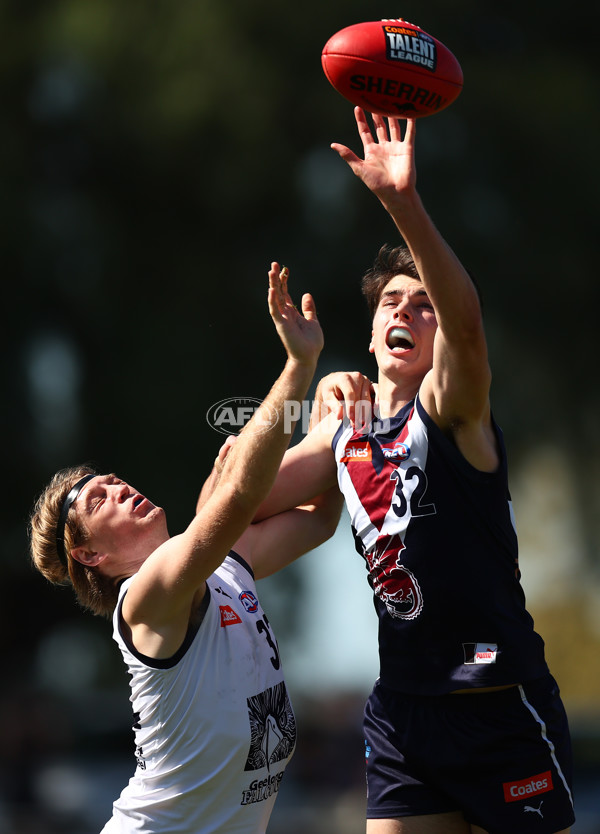 Coates League Boys 2023 - Sandringham Dragons v Geelong Falcons - A-43226791