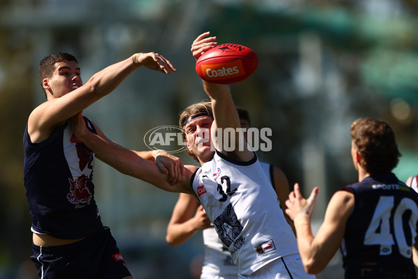 Coates League Boys 2023 - Sandringham Dragons v Geelong Falcons - A-43226797