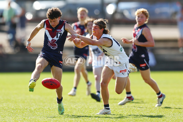 Coates League Boys 2023 - Sandringham Dragons v Geelong Falcons - A-43226875