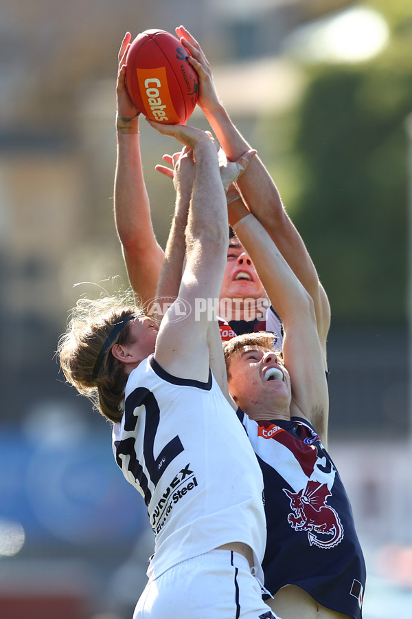 Coates League Boys 2023 - Sandringham Dragons v Geelong Falcons - A-43227475