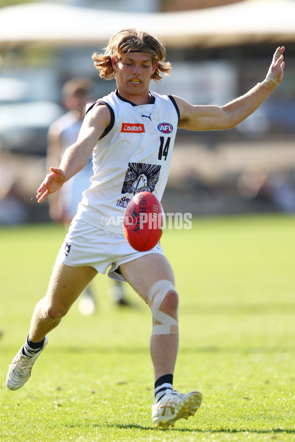 Coates League Boys 2023 - Sandringham Dragons v Geelong Falcons - A-43231984